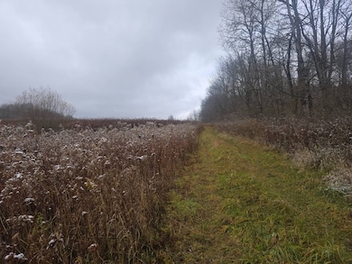 0WP Piety Hill Rd, Cincinnatus, NY 13040 - photo 5