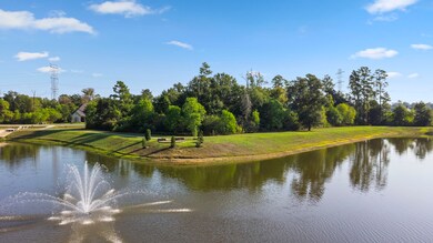 31119 Roanoke Woods Dr, Tomball, TX 77375 - photo 4