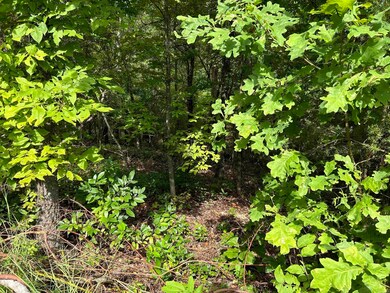 0 Longhorn Trail unit 24026518, Midway, AR 72651 - photo 2