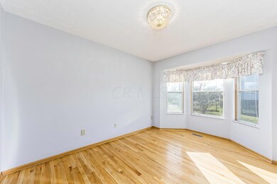 C - 2985 Ambarwent (19)