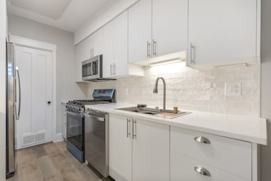 1032 N Austin Blvd unit 1N, Oak Park, IL 60302 - photo 6