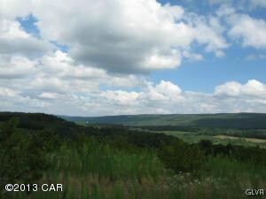 0 Summer Mountain Rd unit CC1939, New Ringgold, PA 17960 - photo 2