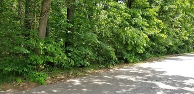 0 Alma Rd unit 72513381, Millis, MA 02054 - photo 3