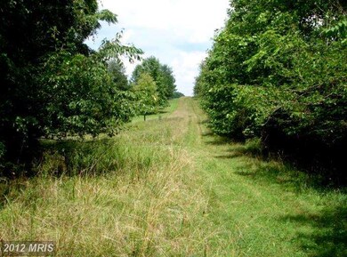 0 Eggbornsville Rd unit 1004090632, Rixeyville, VA 22737 - photo 5