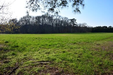 corner of lot looking over to the woods