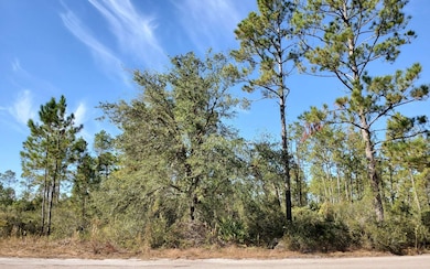 0 County Line & Prine unit 121576, Lee, FL 32059 - photo 7