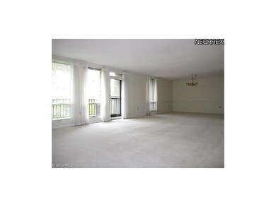 Large Living Room with wall of windows and dining 