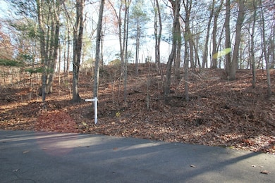 0 W Birch Rd, Norfolk, MA 02056 - photo 2