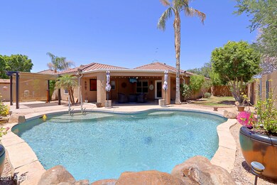 Backyard 5