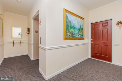 311 Willrich Cir unit E, Forest Hill, MD 21050 - photo 4
