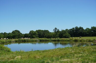DSC00008