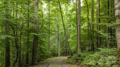 99 Autumn Leaf Trail, Burnsville, NC 28714 - photo 5