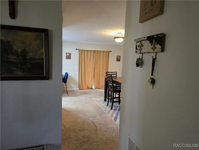 255 W Staggerbush Path, Beverly Hills, FL 34465 - photo 3