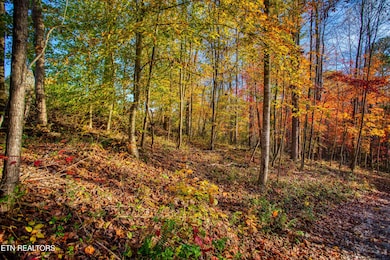 1192 Shellotte Loop, Pall Mall, TN 38577 - photo 7