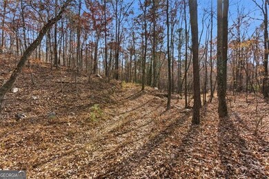 0 Flowery Branch Rd unit 10651048, Kingston, GA 30145 - photo 5