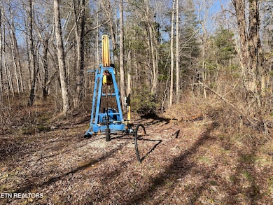 14.56 Acres Hwy 52, Robbins, TN 37852 - photo 5