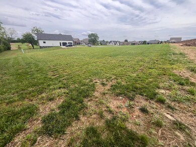 IMG_1569
