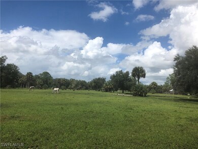 View of yard with a rural view