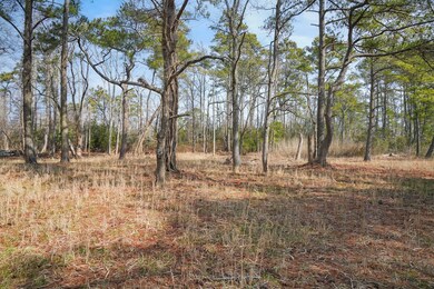 Lot 14A Howard Dr unit 700, Chincoteague, VA 23336 - photo 6