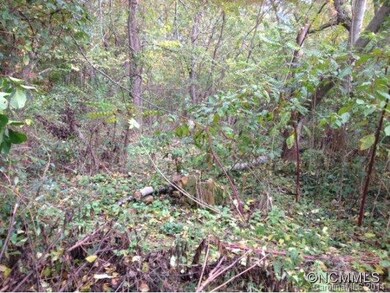 Remnants of Old Chimney