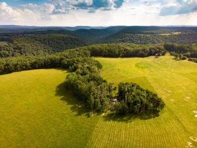 113.79Ac Falling Water Rd, Cookeville, TN 38506 - photo 3