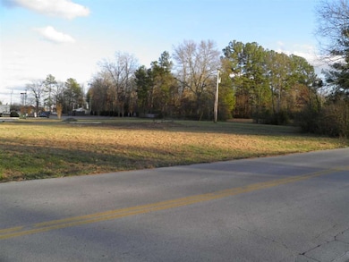 2156 Hillsboro Blvd, Manchester, TN 37355 - photo 5