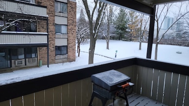 1810 Hemlock Place unit 209, Schaumburg, IL 60173 - photo 6