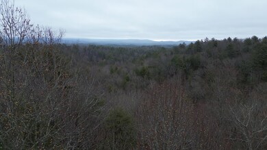 Gilmer Tract 2