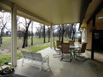 Back Patio