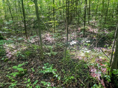 4 Millie Rd, Tomahawk, WI 54487 - photo 4