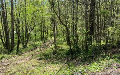 Additional View