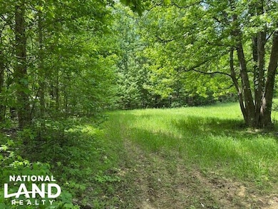 0 May Branch Rd, Cypress Inn, TN 38452 - photo 3