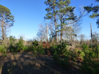 Lot 12 County Road 816, Nacogdoches, TX 75964 - photo 4