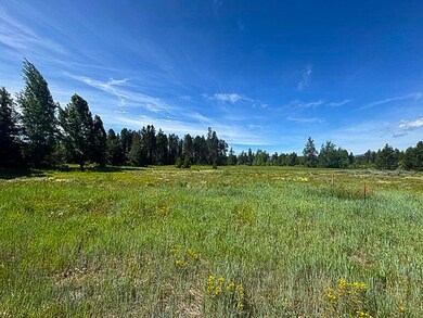 249 W Jug Rd unit 32, McCall, ID 83638 - photo 5