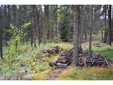 0 Crystal Mountain Rd unit 834134, Bellvue, CO 80512 - photo 7
