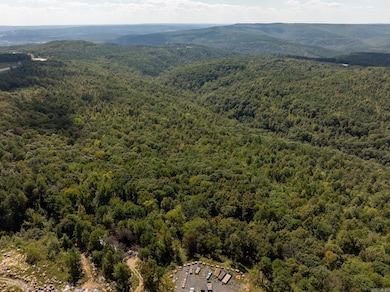 000 Hwy 65, Clinton, AR 72031 - photo 6