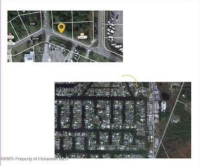 0 Pine Dale Ct, Hernando Beach, FL 34607 - photo 2