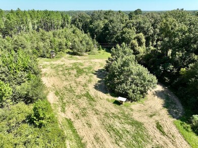 0 Abbeville Hwy, Pineview, GA 31071 - photo 4