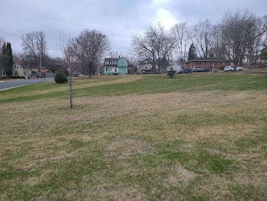 4XX Spring St, Hastings, MN 55033 - photo 3