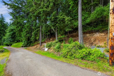 3071 Hales Passage Dr, Lummi Island, WA 98262 - photo 7