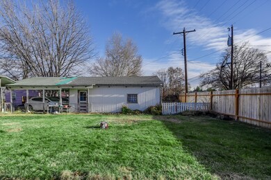 Backyard2