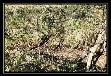 0 Maysville-Williams Rd unit (Tract 4) 223003995, Logan, OH 43138 - photo 4