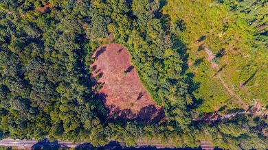 206 Waughs Landing Dr, Lynchburg, VA 24503 - photo 6