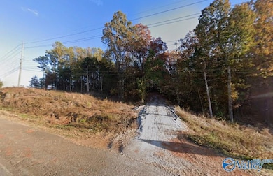 Lot 1 Madison Blvd, Madison, AL 35758 - photo 3