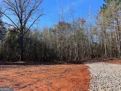 146 Berry Rd, Barnesville, GA 30204 - photo 4