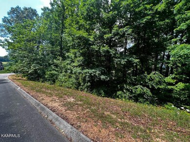 607120_4 - Copy - Copy