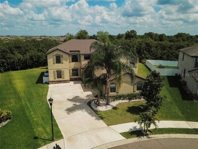 13902 Windy Knoll Dr, Riverview, FL 33579 - photo 3