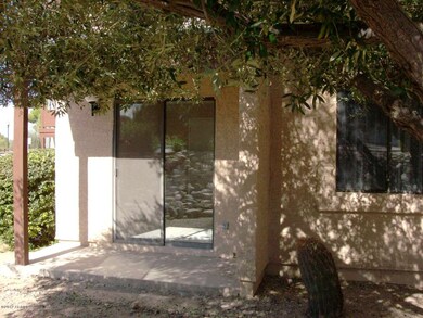 Nice Shade Tree in Back