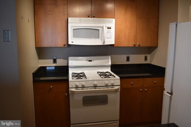 The Crescent unit 1006, Silver Spring, MD 20910 - photo 6