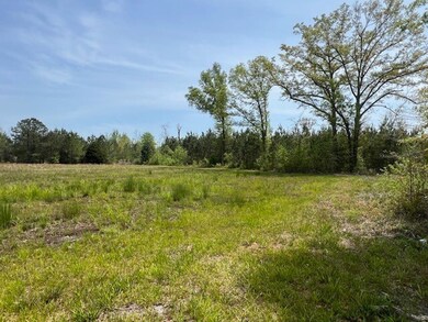 67 Beaver Pond Rd, Luverne, AL 36049 - photo 4